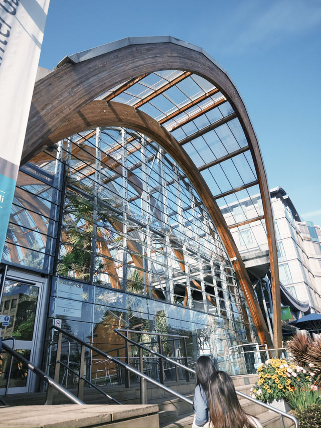 Spring Awakens at Sheffield Winter Garden 🌿🌸