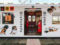 นั่งรถไฟน้องแมว เที่ยวเมือง Wakayama Kansai 