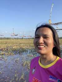 งานลูกลม