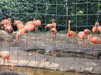 家族で楽しむ都心のリフレッシュポイント – 上野動物園で癒しのひととき