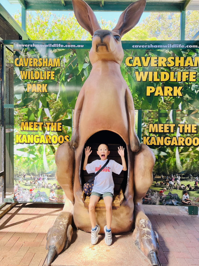 🇦🇺 Perth: Brunch, Wildlife & a Costco Run 🌿🦘