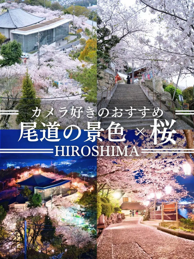 【広島】行かなきゃ損‼️尾道水道×桜の絶景🌸 ライトアップも✨