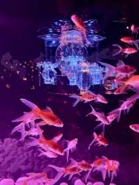 流光水境：藝術水族館的夢幻之旅