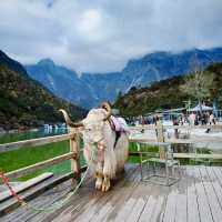 BLUE MOON VALLEY | WHERE HEAVEN MEETS EARTH