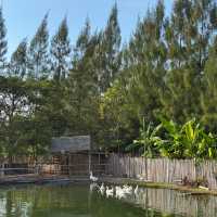 คาเฟ่กลางสวน ดีไซน์สวยบรรยากาศดีต่อใจ จ.ระยอง 🪷🍃