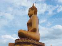 วัดพิกุลทอง