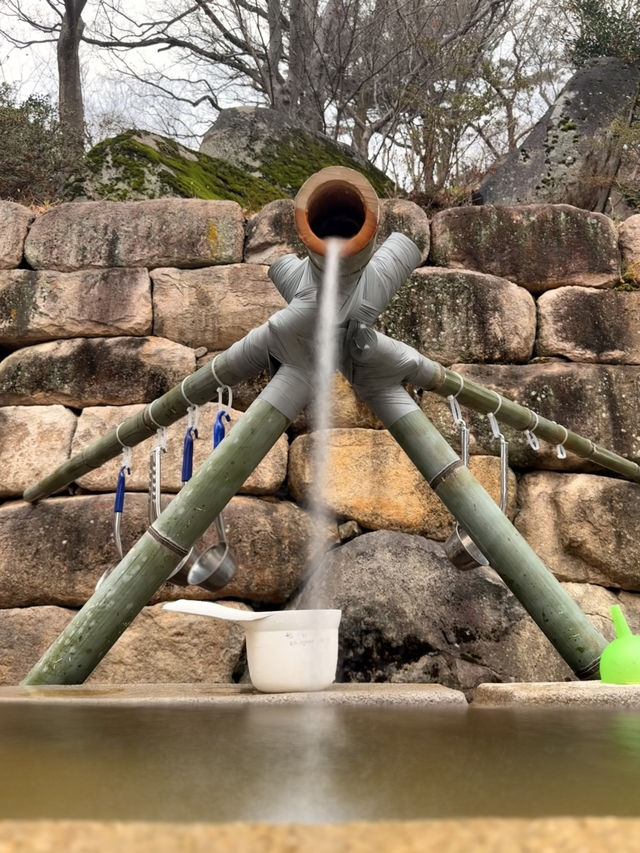 釜山｜金井山梵魚寺傳說 感受佛寺莊嚴與寧靜