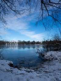 🌿 Deer Lake Park：静寂と自然を満喫できる癒しの湖畔