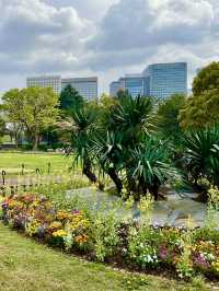 Spring Stroll in Hibiya Park🌼