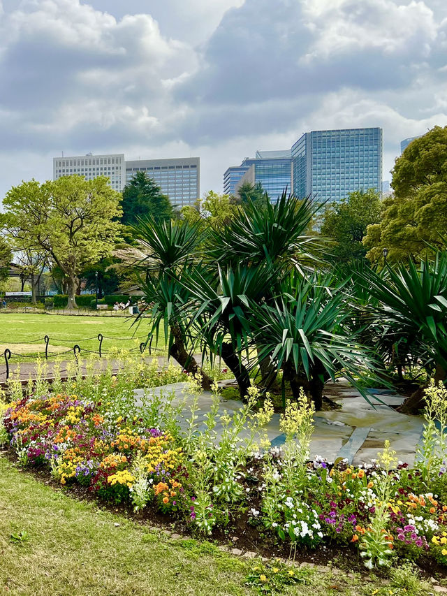 Spring Stroll in Hibiya Park🌼