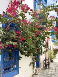 Spring Blossoms in Sidi Bou Said💐