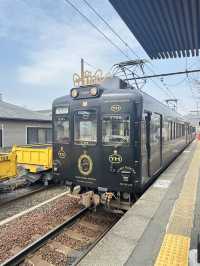 เที่ยว 1 Day ไปนั่งรถไฟหานายสถานีแมวที่วาคายะมะ