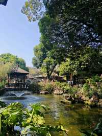 Qinghui Garden: A Timeless Oasis of Lingnan Elegance