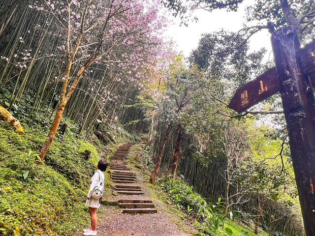 嘉義旅行去 👣 ＂寒溪呢森林人文叡地＂