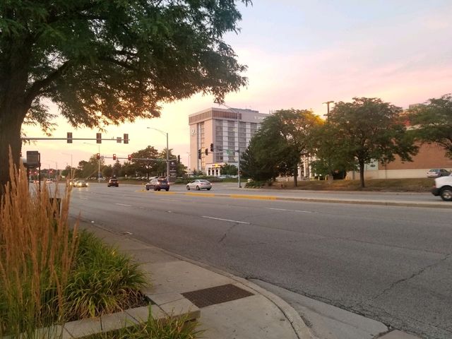 [🇺🇸シカゴ] 美しい夕焼けと心を癒す瞬間