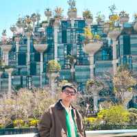 Tian An 1000 Trees  Shanghai