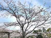 日本九州長崎大村公園