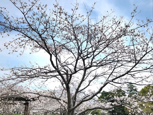 日本九州長崎大村公園