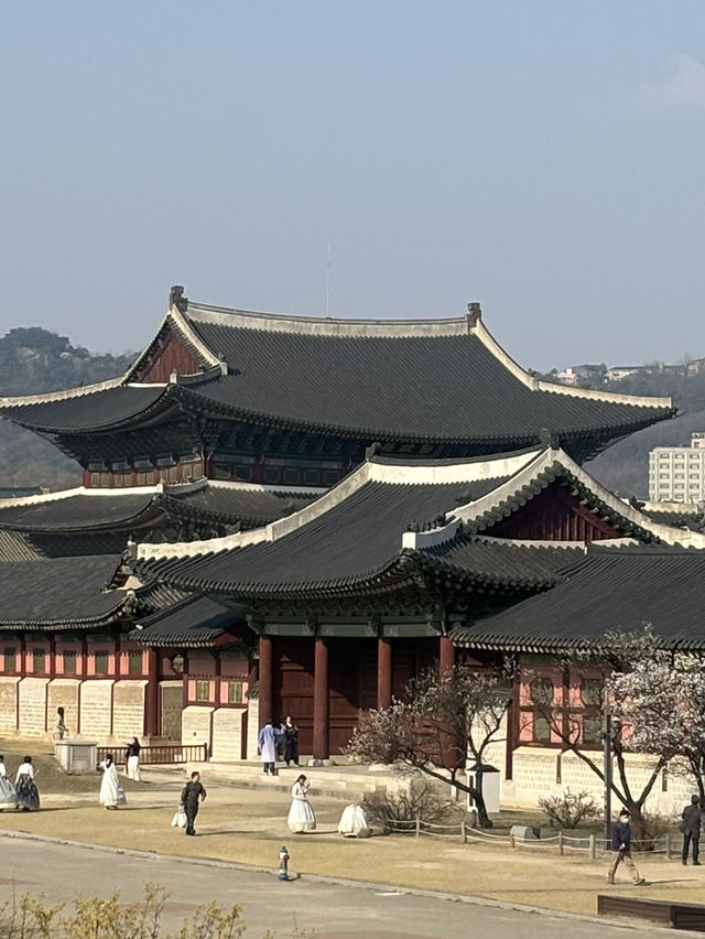 경복궁 나들이 가보자