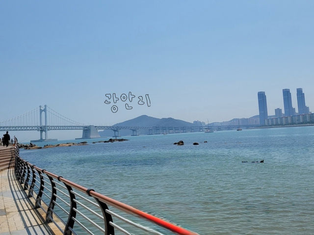 바다가 보고싶어서 떠났던 부산바다여행 당일치기