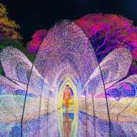 เที่ยวงานไฟสุดยิ่งใหญ่ ไม่คิดว่าจะสวยขนาดนี้ 🤍🌷✨
