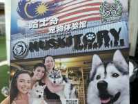 【馬六甲｜萌到心臟爆擊的 huskitory！】