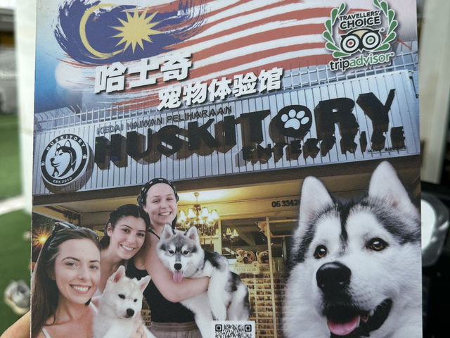 【馬六甲｜萌到心臟爆擊的 huskitory！】