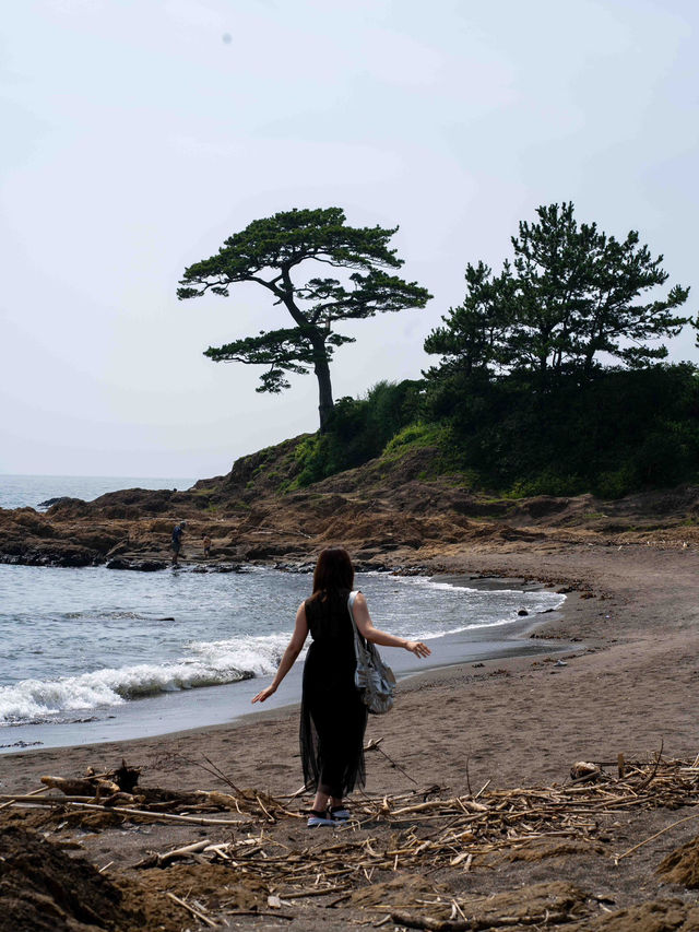 絶景×癒しの海時間！湘南・立石公園でリラックス🌊