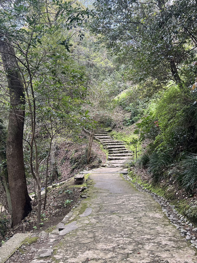 日本四國