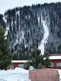 Magical Winter in Nalati: A Fairytale of Snow and Serenity