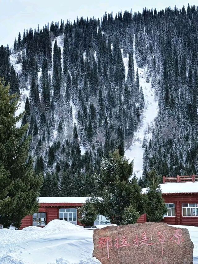 Magical Winter in Nalati: A Fairytale of Snow and Serenity