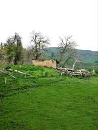 Kurdenin: The Emerald Heart of the Tianshan Mountains