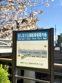 Spring Stroll at Oshinari Park – Cherry Blossoms & Skytree Views