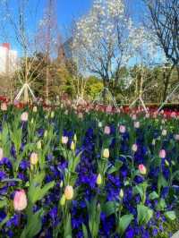 Xujiahui Park– Shanghai’s Urban Oasis with a Musical Twist