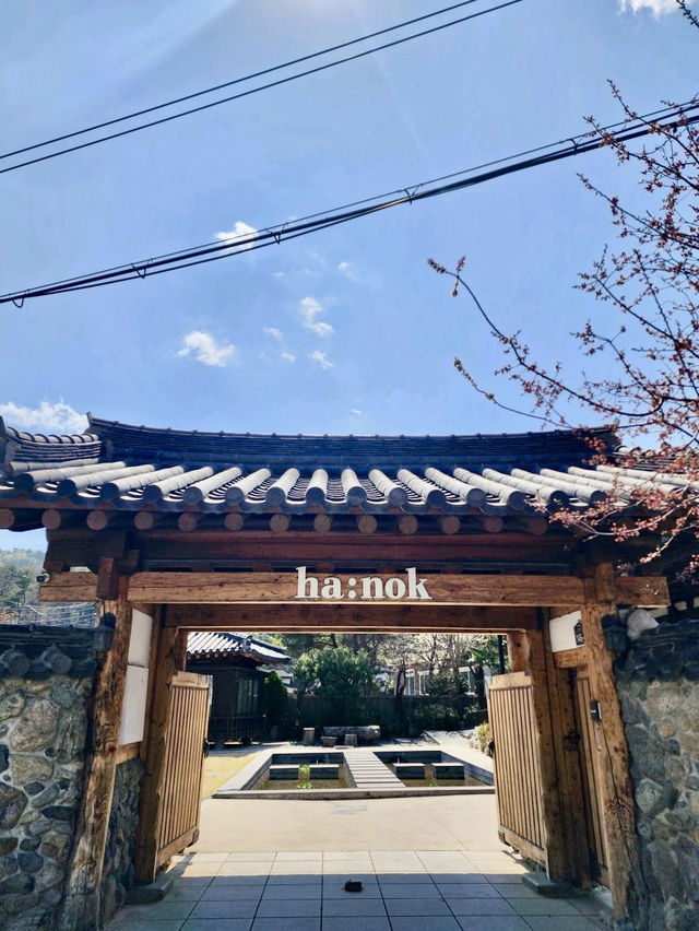 釜山｜熊熊真的太萌啦！！端上桌我瞬間尖叫～這怎麼捨得吃啦🥺釜山人氣韓屋咖啡廳Ha:nok☕️竟然這麼美✨ 
