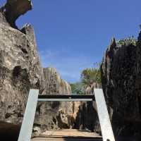 走進另一個世界｜Tsingy De Bemaraha National Park