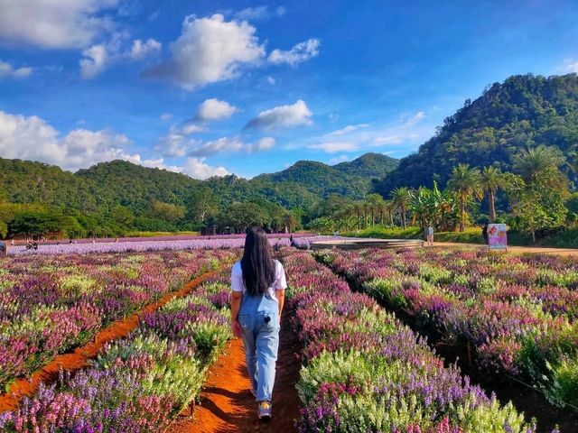 Hokkaido Flower Park Khaoyai