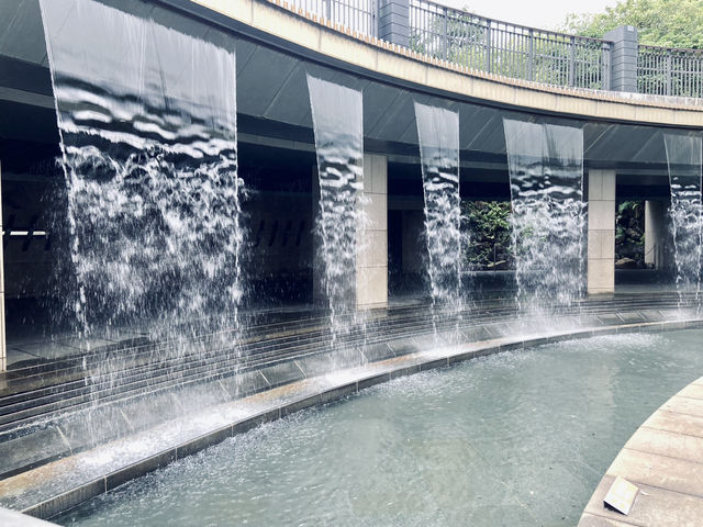 城市裡的浪漫驚喜｜大安森林公園站水舞秀