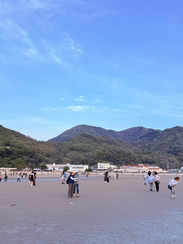 父母之濱