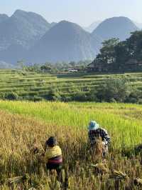 A true hidden gem of Vietnam