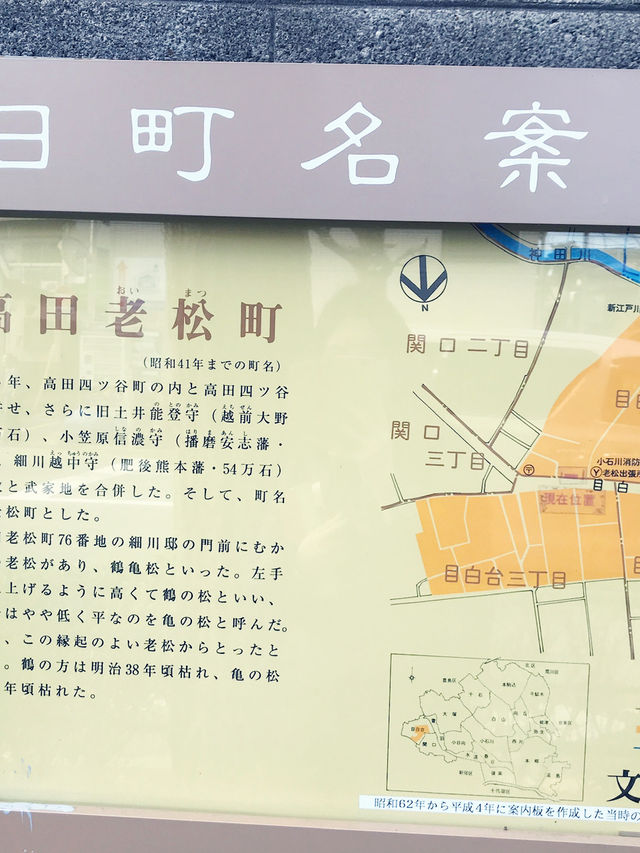 【東京　文京区関口　関口カトリック教会　東京カテドラル聖マリア大聖堂への巡礼】