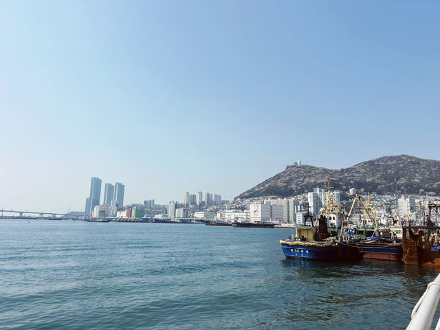 釜山🇰🇷扎嘎其市場🦞海港美食體驗
