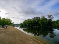 【都会にある静かな癒し空間】ロンドン「ハイド・パーク」🍂🦢