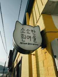 Busan a famous coastal city 