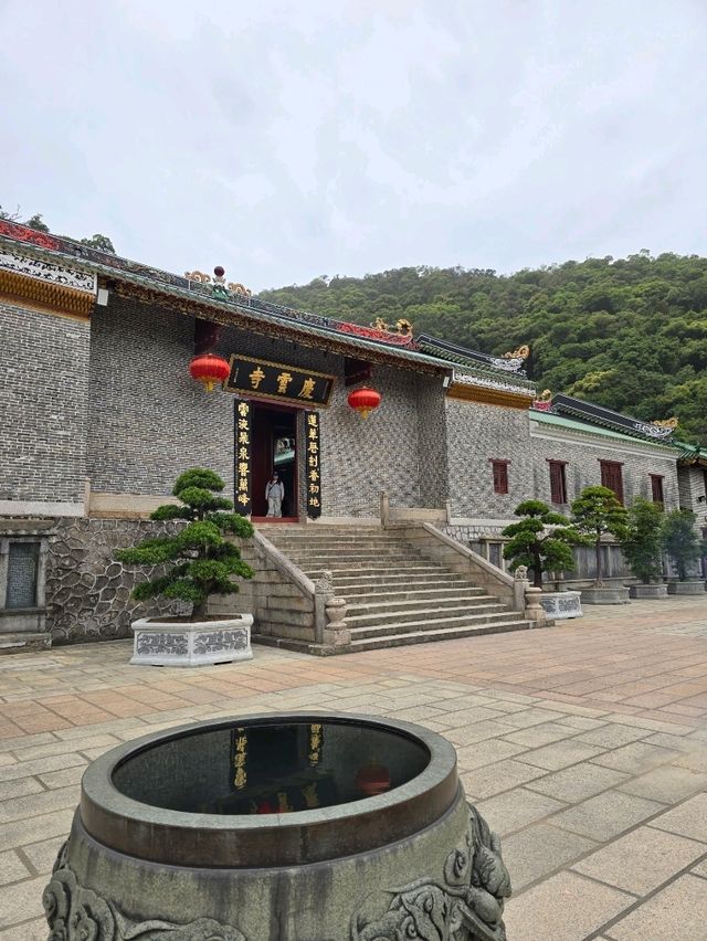 🌿 肇慶鼎湖山：綠色逃亡秘境！🌄