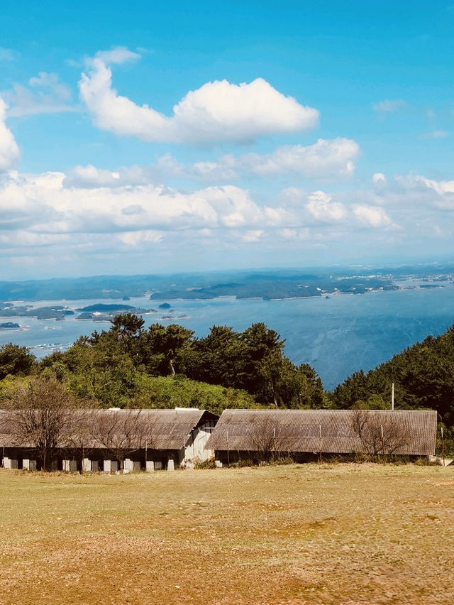 Namhae Yangtte Ranch Yangmori School: A Pastoral Sheep Encounter 