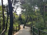 Namsan Vibes: Hike, Snap, Explore!