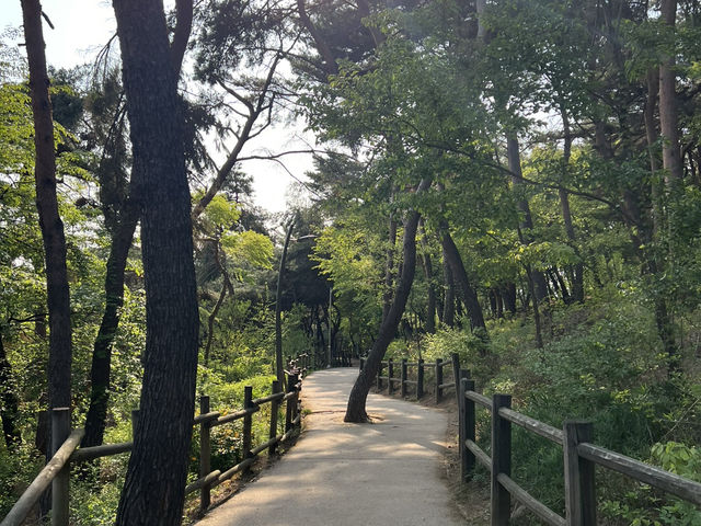 Namsan Vibes: Hike, Snap, Explore!