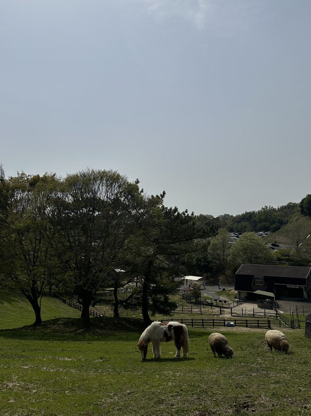【愛知】動物と近い距離で触れ合える！鞍ヶ池公園、動物ふれあい広場