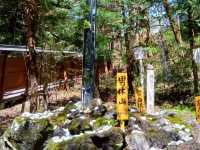 【栃木】日光市にある縁結び等で人気の古社！